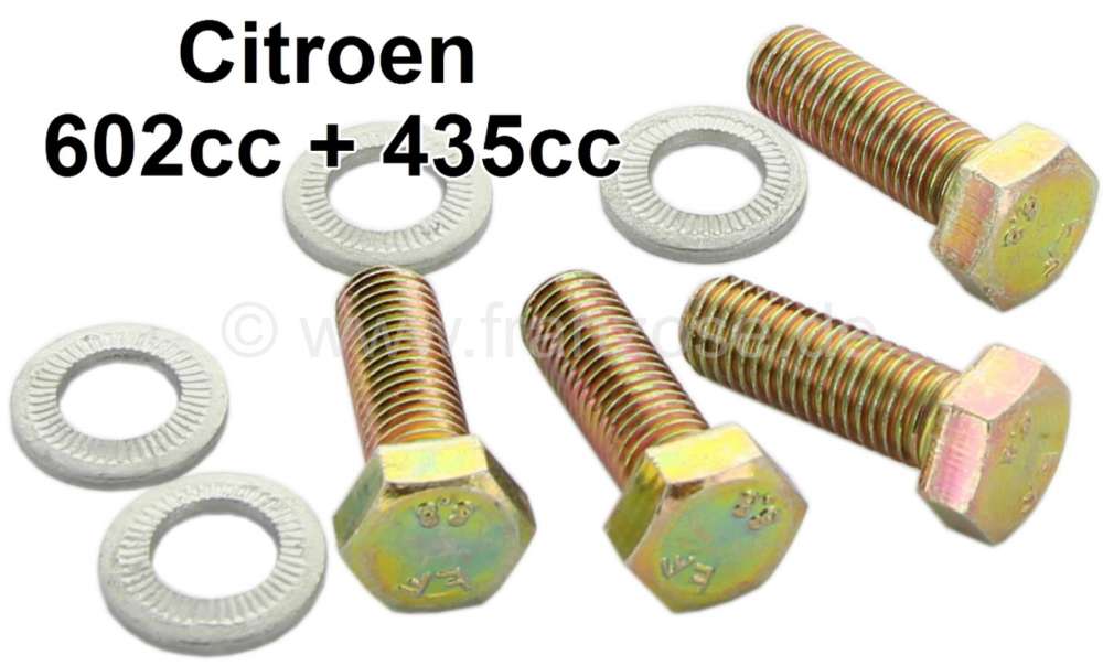 Citroen-2CV - Gitter für das Motorlüfterghäuse: Schraubensatz (mit Unterlegscheiben). Passend für Ci