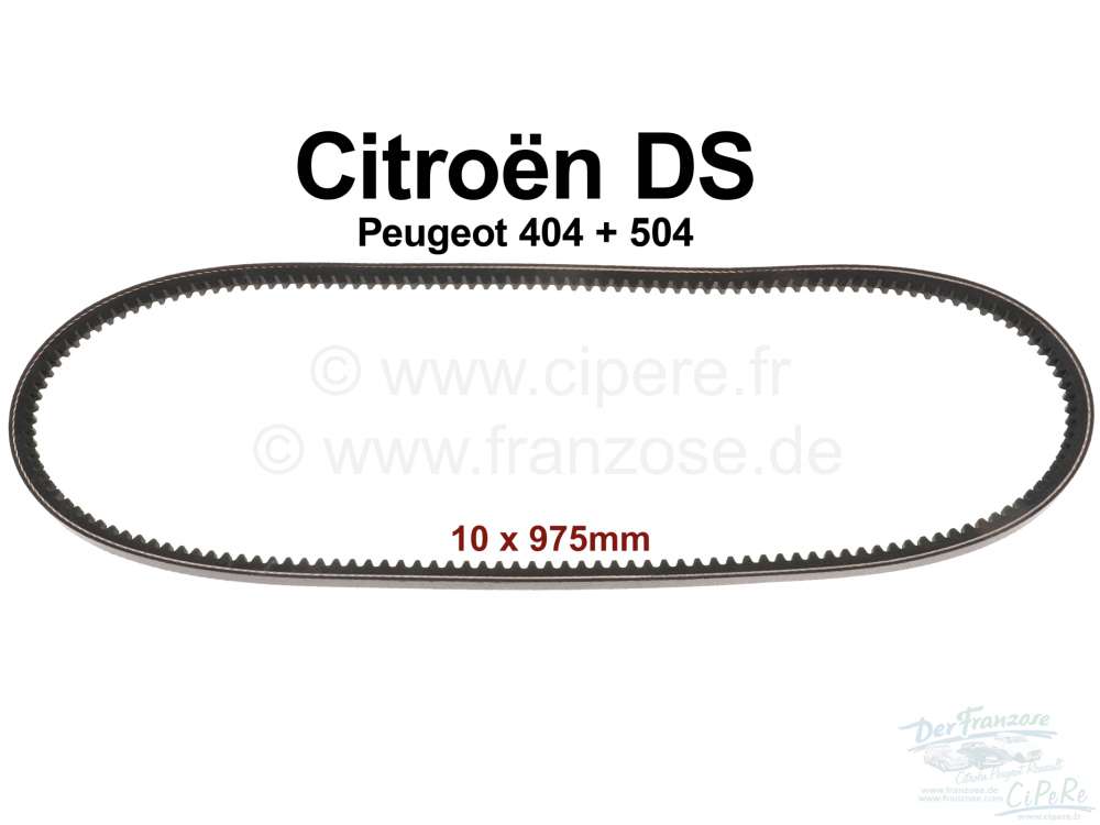 Citroen-DS-11CV-HY - Keilriemen 10x975mm. Passend für Citroen DS, ab Baujahr 8/1967 (Wasserpumpe - Lichtmaschi