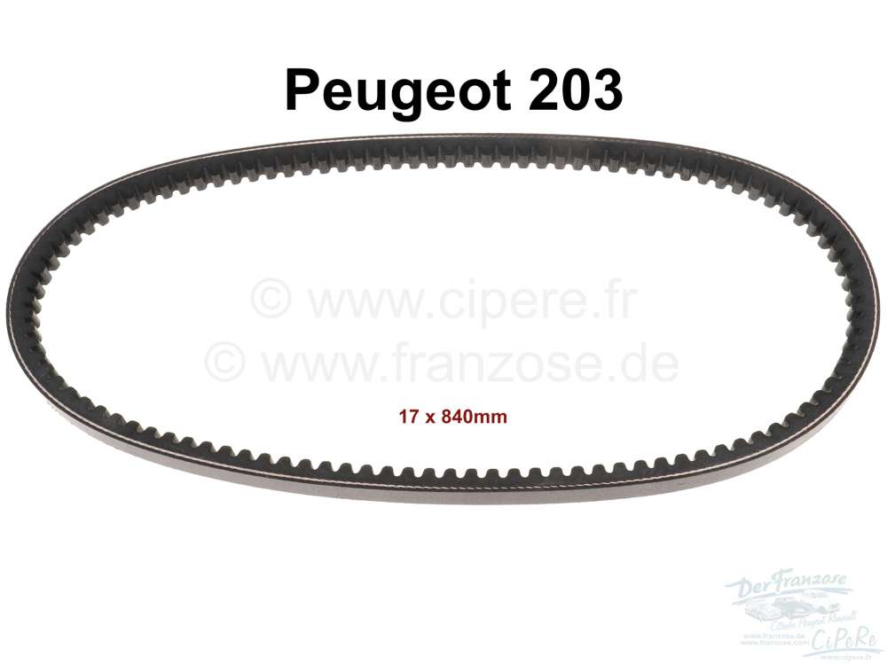 Alle - Keilriemen 17x840mm. Passend für Peugeot 203.