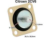 Citroen-2CV - Membrane Beschleunigerpumpe 2CV6. Alle Fahrzeuge mit ovalen vergaser! 22mm Teller, 8mm St