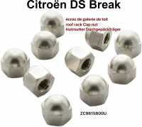 citroen ds 11cv hy gepaecktraeger dachgepaecktraeger hutmutter 10x befestigung break P37926 - Bild 1