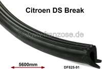 Citroen-DS-11CV-HY - Dachdichtung. Passend für Citroen DS Break. Länge: ca. 5600mm. Or. Nr. DF825-91.