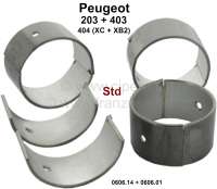 Peugeot - P 203/403/404 Pleuellager (kompletter Satz) für Benzin Motoren mit 3 Kurbelwellenlager. A