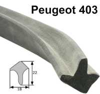 peugeot tueren vorne hinten anbauteile p 403304 tuerdichtung P77628 20260520163543 - Bild 1