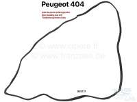 P 404, Zierleiste Edelstahl poliert, Peugeot 404. Tür vorne, links