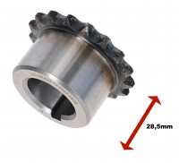 Alle - R4/R5/R8/R10, Zahnrad Kurbelwelle, 17 Zähne, passend für Renault R4, R5, R8, R10. Motore