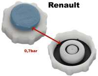 renault motorkuehlung r4r5 kuehlerdeckel ausgleichsbehaelter blau 070 bar P82222 20260306110552 - Bild 1
