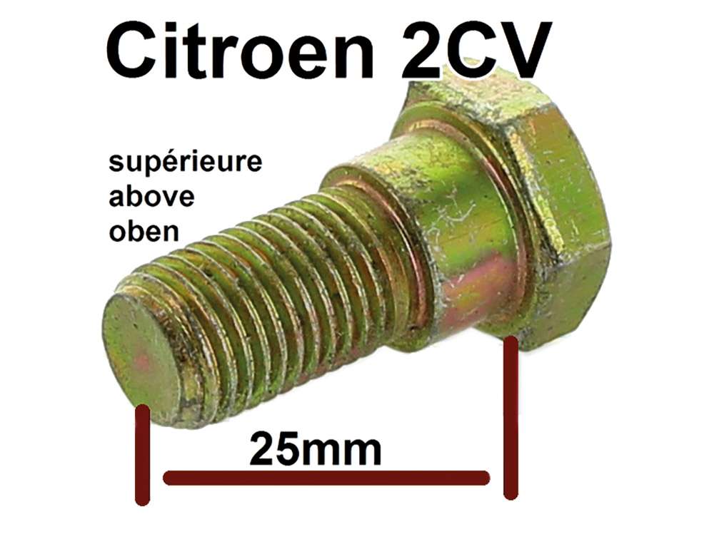 Alle - Safety belt screw above (at the B-post). Suitable for Citroen 2CV.