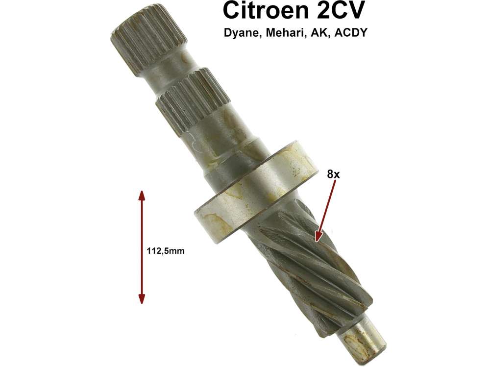 Alle - Steering worm of 8 teeth, inclusive bearing, for Citroen 2CV. Inside diameter: 10mm. Suita