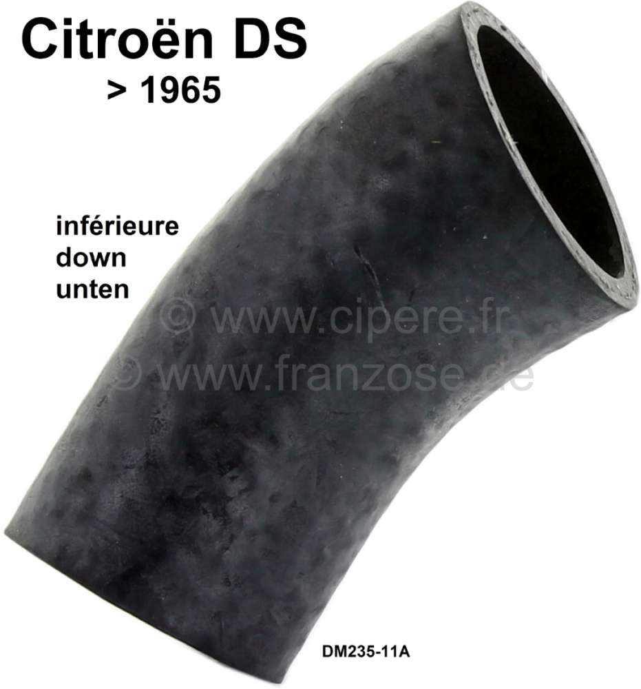 Citroen-DS-11CV-HY - Radiator hose (water hose) down, at the radiator. Suitable for Citroen DS, to year of cons