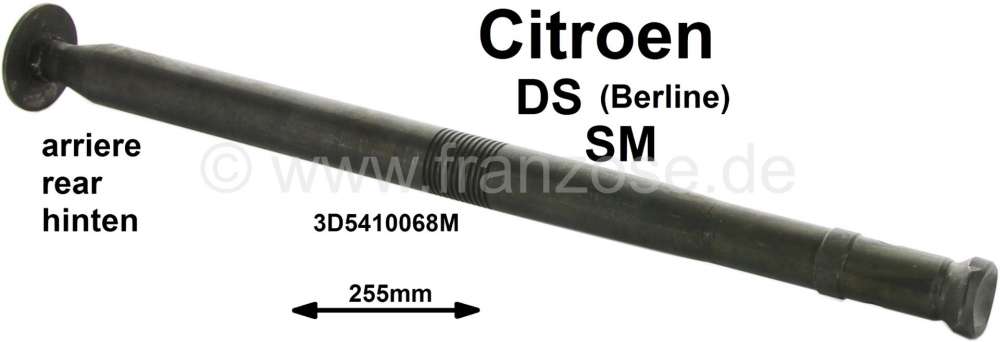 Alle - Suspension cylinder piston rod, for the rear axle. Suitable for Citroen DS sedan (not for 
