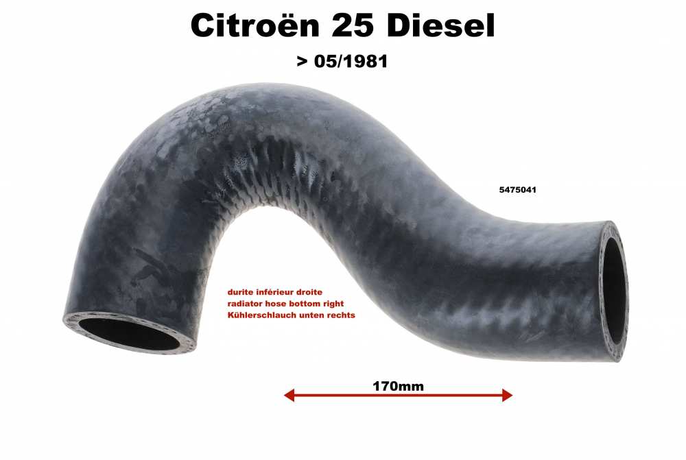 Sonstige-Citroen - CX 25D, radiator hose bottom right. Connection between radiator and water pipe. Suitable f