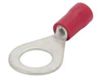 Sonstige-Citroen - Eye ring red, 8mm attaching lug