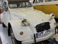 Peugeot - 2CV, Radiator grill, winter protection simply. Material: Vinyl. The winter protection is h