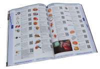 Peugeot - 2CV catalogue Retro Future 1. French! 400 pages! Complete catalog Cipere with illustration