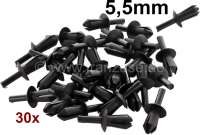 Peugeot - expanding rivet with safety pin. (5,5mm) 30 pieces!
