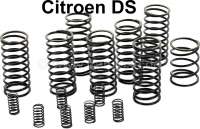 Citroen-DS-11CV-HY - Hydraulic pump spring set (15 pieces). Suitable for 7 pistons hydraulic pump, for Citroen 