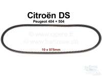 Peugeot - V-belt 10x975mm. Suitable for Citroen DS, starting from year of construction 8/1967 (water