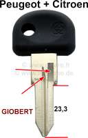Peugeot - Blank key for starter lock + door lock. Suitable for Peugeot J5 + Citroen C25, of year of 