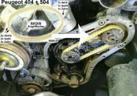peugeot carburetor gasket sets driving belt sedis kugelfischer injection P71334 - Image 2