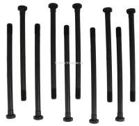 Peugeot - P 204/304, cylinder head screws (10 pieces). Suitable for Peugeot 204, 304, 305. For engin