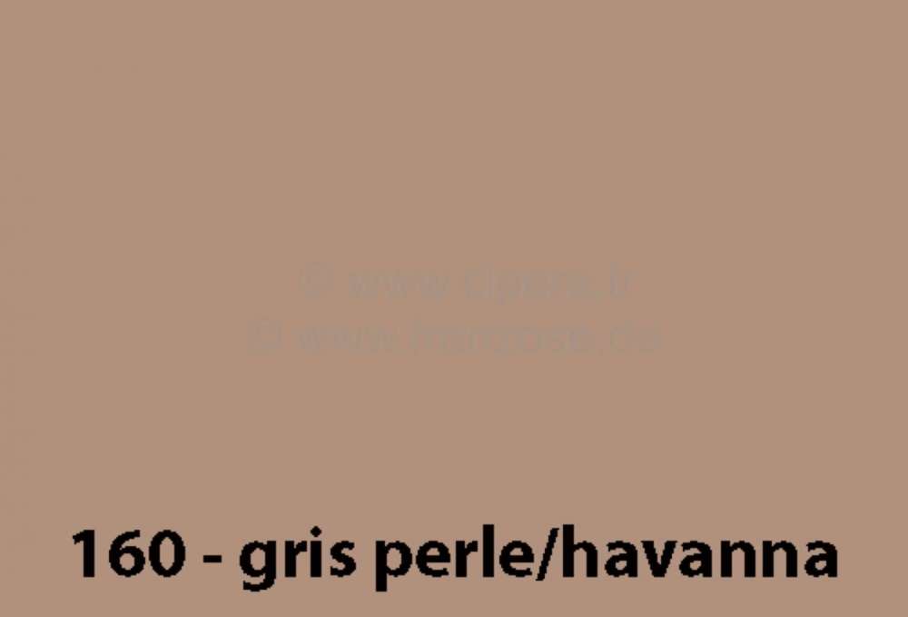 Renault - peinture en bombe 400ml, Renault 4L code couleur 160 gris perlé / havanna met., couvrir d