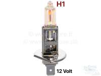 Citroen-DS-11CV-HY / HY / ampoules 6+12 volts