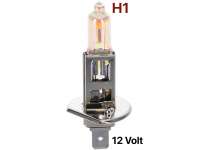 citroen 2cv ampoules ampoule 12volts type h1 ds par exemple P14375 - Photo 1