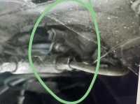 Alle - patte de fixation du raccord 4 voies pour les tubes hydrauliques, Citroën DS