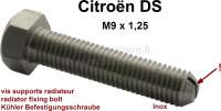 Citroen-2CV - vis de supports de radiateur, Citroën DS, vis à tête fendue pour faciliter la pose.