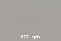 Renault - laque 1000ml, 4L, code couleur 677 gris, ajouter le durcisseur 20444 (2 x laque pour 1 x d