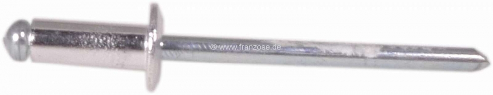 Renault - 4 mm popnagel (bijv. bevestiging voorruit 2CV)