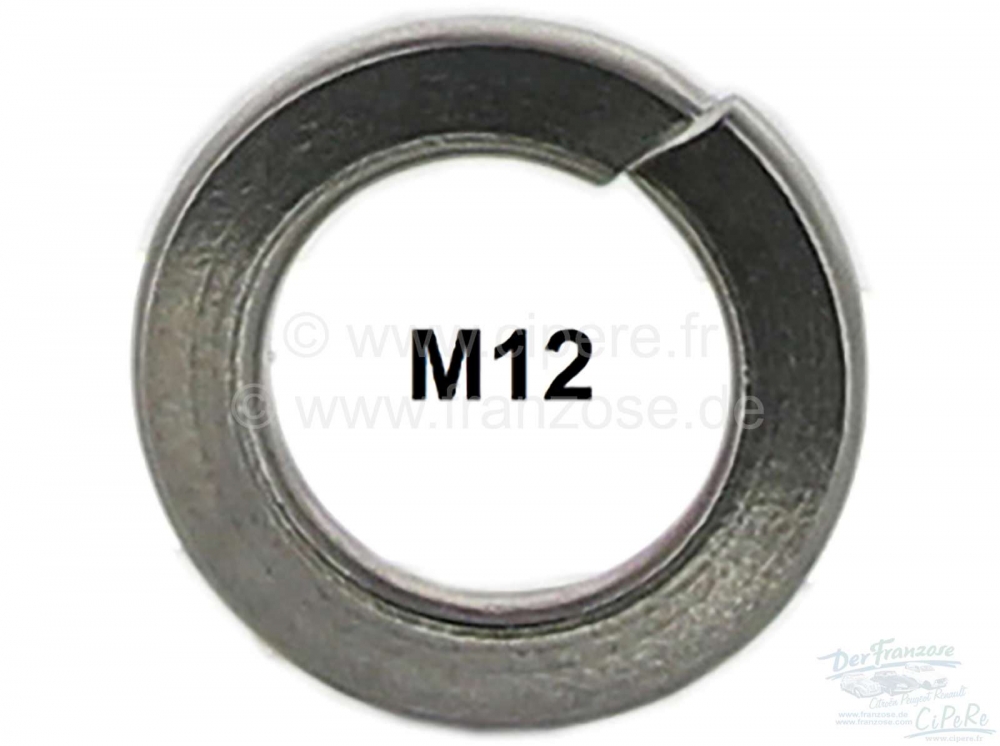 Citroen-2CV - M12, Federring