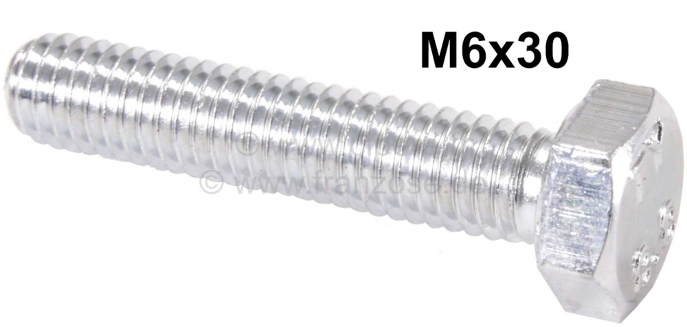 Renault - M6x30 / schroef gegalvaniseerd