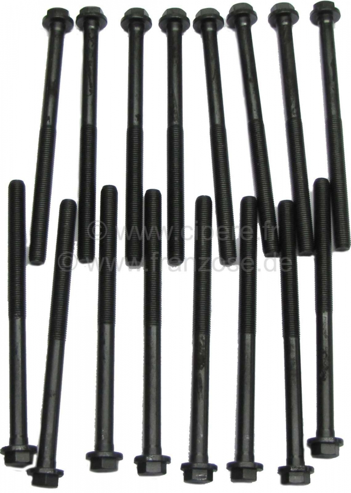 Renault - Cilinderkopbouten (16 stuks) voor Euro V6 motor. Geschikt voor Peugeot 504 V6, 505 V6, 604