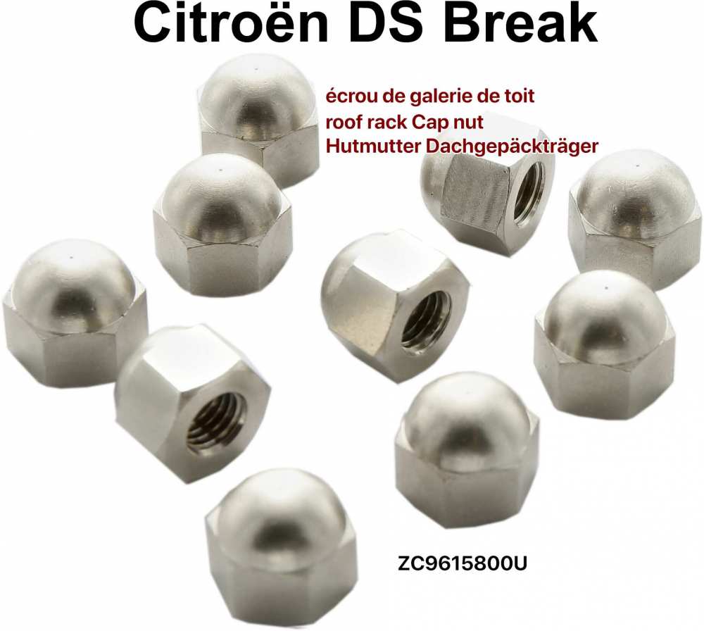 Citroen-DS-11CV-HY - Dakdrager: dopmoer (10x) voor bevestiging van de dakdrager. Geschikt voor Citroen DS Break