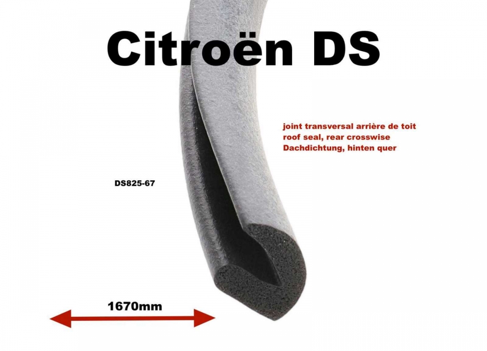 Sonstige-Citroen - Dakafdichting, achter dwars (van C-stijl tot C-stijl). Geschikt voor Citroen DS sedan. Len