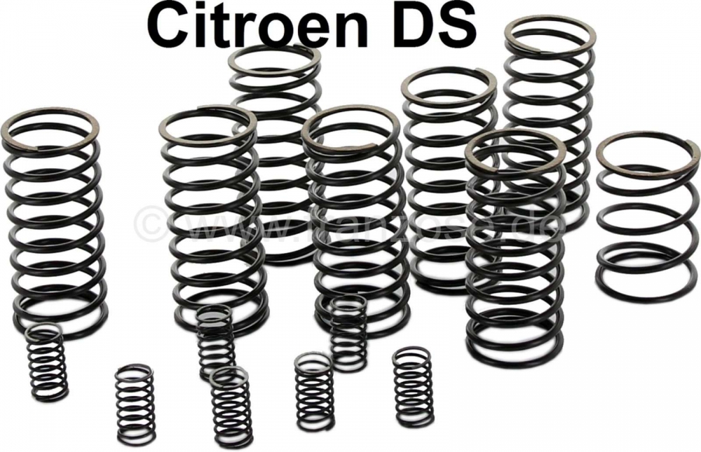 Sonstige-Citroen - Hydraulische pomp veerset (15 stuks). Geschikt voor hydraulische pomp met 7 zuigers, voor 