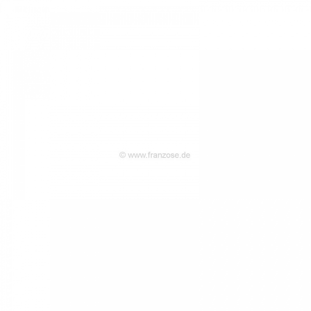 Citroen-2CV - P 204/304, achterruit blank, Peugeot 204-304 Coupe! Speciale verzendkosten, zoals alleen m