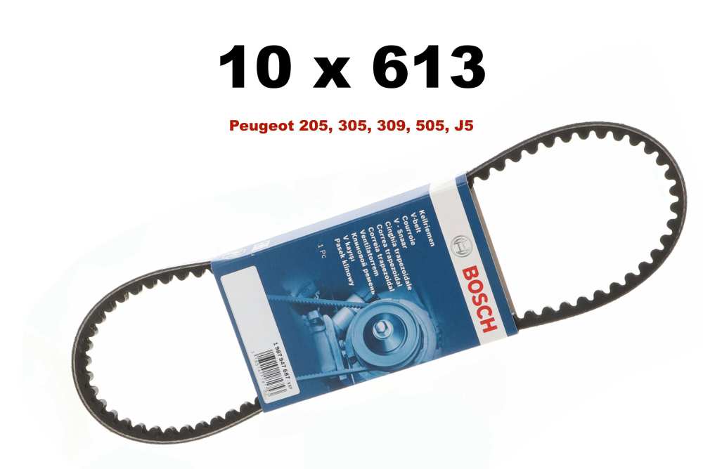 Peugeot - V-snaar 10x613, Peugeot 205, 305, 309 voor servopomp. Peugeot 505 2,5TD + J5 1,9D voor vac