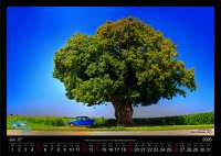 Alle - Kalender 2025 gemaakt door Der Franzose. 12 prachtige Franse klassieke auto's, een must vo