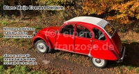 citroen 2cv dak oprolbare daken oud roldak wit blanc meije everest stellaire met buitensluiting P17128 - Bild 1
