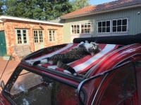 Alle - 2CV, rood-wit gestreepte luifel. De luifel is gemonteerd met het dak open! De ommanteling 