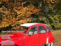 Renault - 2CV, wit oprolbaar dak met verwarmde achterruit (Blanc, Meije). Interieur slot. Gemaakt in