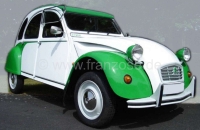 Dolly plakset groen-wit (Vert Bambou AC533 + Blanc Meije EWT). Geschikt voor