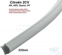 citroen 2cv deurpanelen aanbouwdelen schuifdak achterruit afdichting bies grijs plastic P17422 - Bild 1