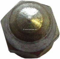 Citroen-2CV - M5 dopmoer, bevestiging voor de hardplastic knop, voor koplamphoogte verstelling. Geschikt