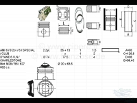 Citroen-2CV - Zuiger + cilinder (2 stuks). Geschikt voor Citroen 2CV6/Club, Charleston, Special. Dyane 6