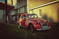 Renault - 2CV, aluminium radiatorrooster met 3 spijlen. Geschikt voor Citroen 2CV vanaf modeljaar 19