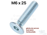 2CV, deurslot, slotgrendel, inbusbout (inbus). M6x25. Geschikt voor 2CV